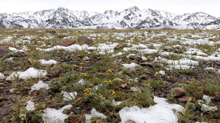 Ирэх арав хоногт цаг агаар ямар байх вэ